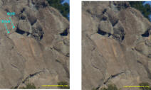 DR face image