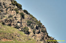 Sutter Buttes - South Buttes