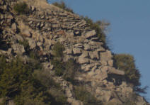 South face of South Buttes