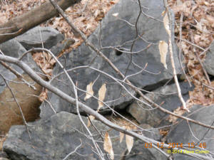 Hole in rock photo by Dave Cuneo