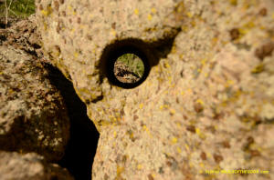 Sutter Buttes hole in rock.