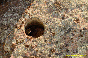 Sutter Buttes hole in rock.