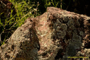 Sutter Buttes hole in rock.