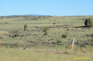 Burney Mima Mounds