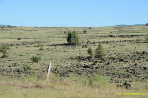 Burney Mima Mounds