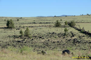 Burney Mima Mounds