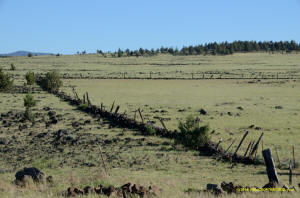 Burney Mima Mounds