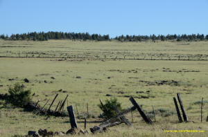 Burney Mima Mounds