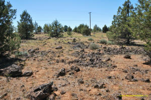 Burney Mima Mounds