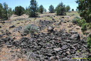 Burney Mima Mounds