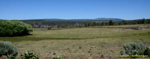 Burney Mima Mounds