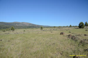 Burney Mima Mounds