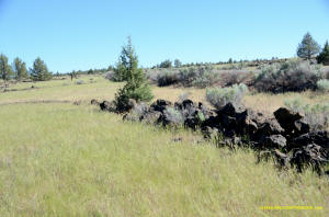 Burney Mima Mounds