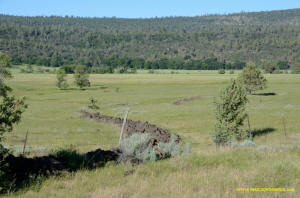 Burney Mima Mounds