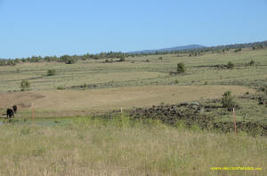 Burney Mima Mounds