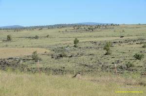 Burney Mima Mounds