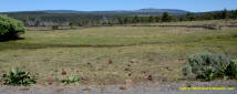 Burney Mima Mounds photo.