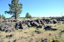 Burney Mima Mounds photo.