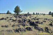 Burney Mima Mounds photo.
