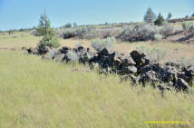 Burney Mima Mounds photo.