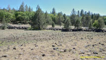 Burney Mima Mounds photo.