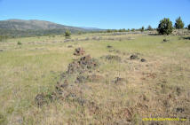 Burney Mima Mounds photo.