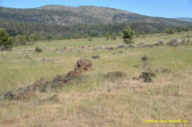 Burney Mima Mounds photo.