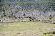 Burney Mima Mounds photo.