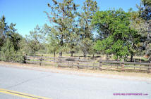 Burney Mima Mounds photo.