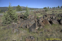 Burney Mima Mounds photo.