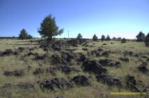 Burney Mima Mounds photo.