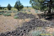 Burney Mima Mounds photo.