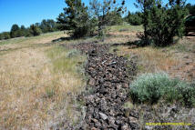 Burney Mima Mounds photo.