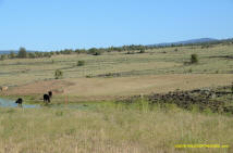 Burney Mima Mounds photo.