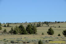 Burney Mima Mounds photo.