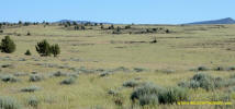 Burney Mima Mounds photo.