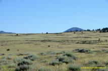 Burney Mima Mound Field