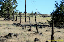 Burney Mima Mounds photo.