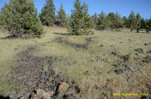 Burney Mima Mounds photo.