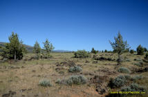 Burney Mima Mounds photo.