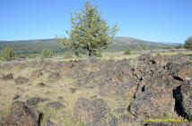 Burney Mima Mounds photo.