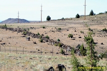 Weed Mima Mound field from Slough Rd.