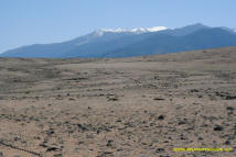 Weed Mima Mound field photo