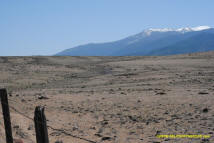 Weed Mima Mound field photo