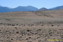 Weed Mima Mound field photo