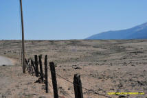 Weed Mima Mound field photo