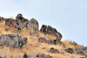 Split Wedge Rock Shasta Valley