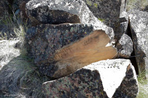 Split Wedge Rock Shasta Valley