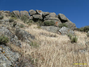 East Bay Walls photo by Brad Gushaw