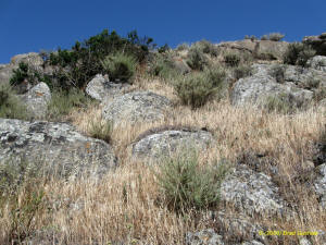 East Bay Walls photo by Brad Gushaw